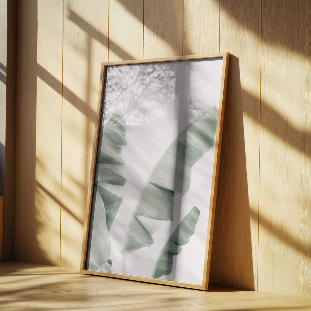 Blush Banana Leaves Poster