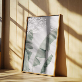 Blush Banana Leaves Poster