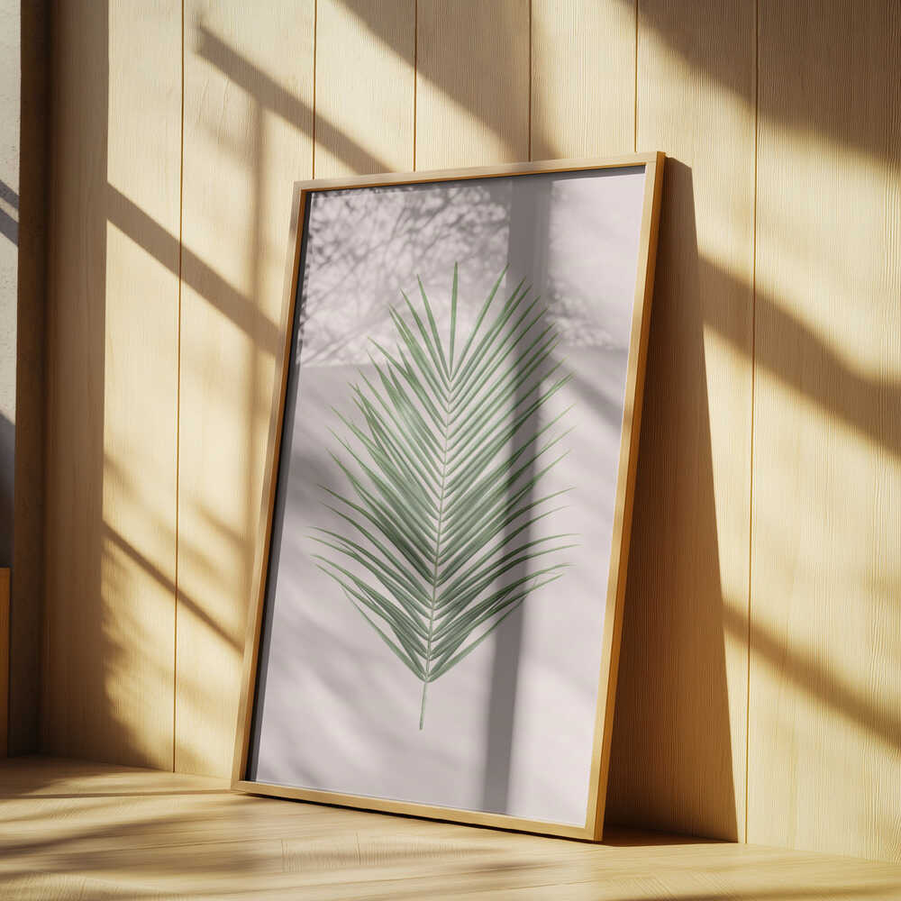 Palm Leaf Blush Poster