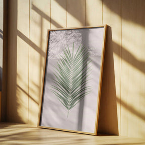 Palm Leaf Blush Poster