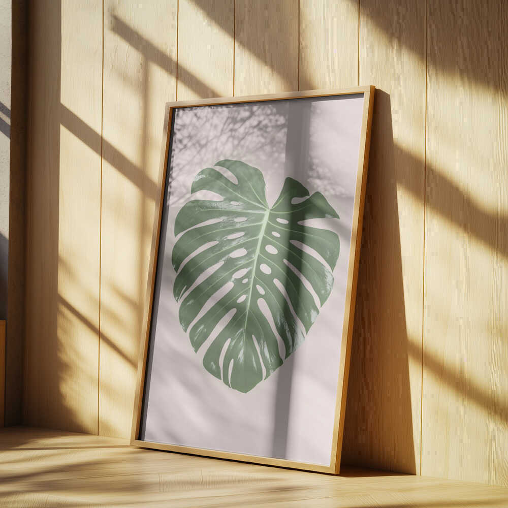 Monstera Leaf Blush Poster