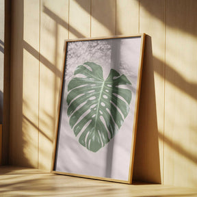 Monstera Leaf Blush Poster