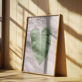 Tropical Leaf Blush Poster