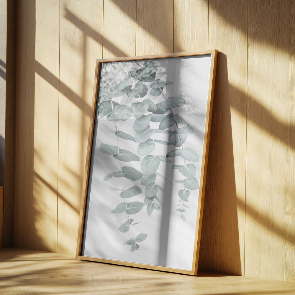 Eucalyptus I Poster