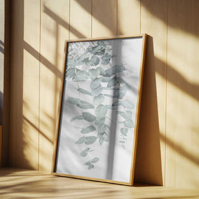 Eucalyptus I Poster