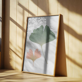 Pastel Ginkgo Poster