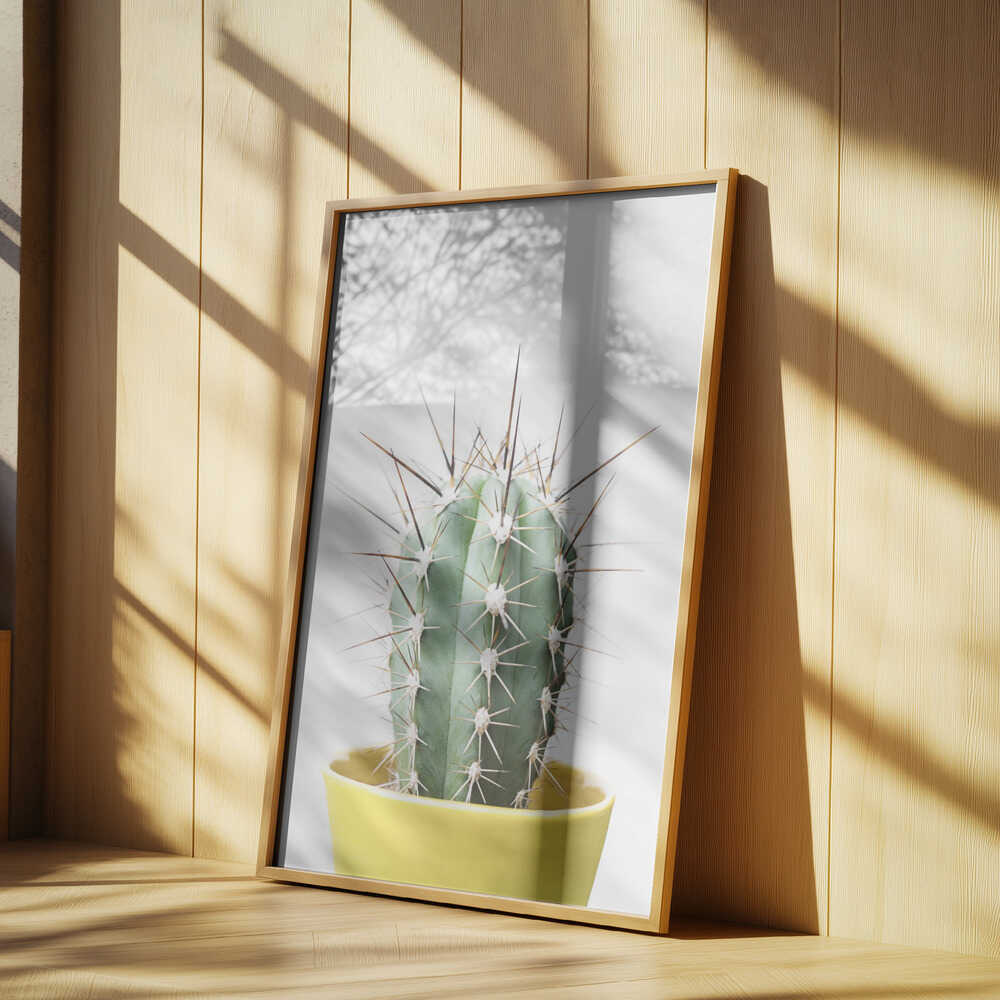 Spikey Cactus Poster