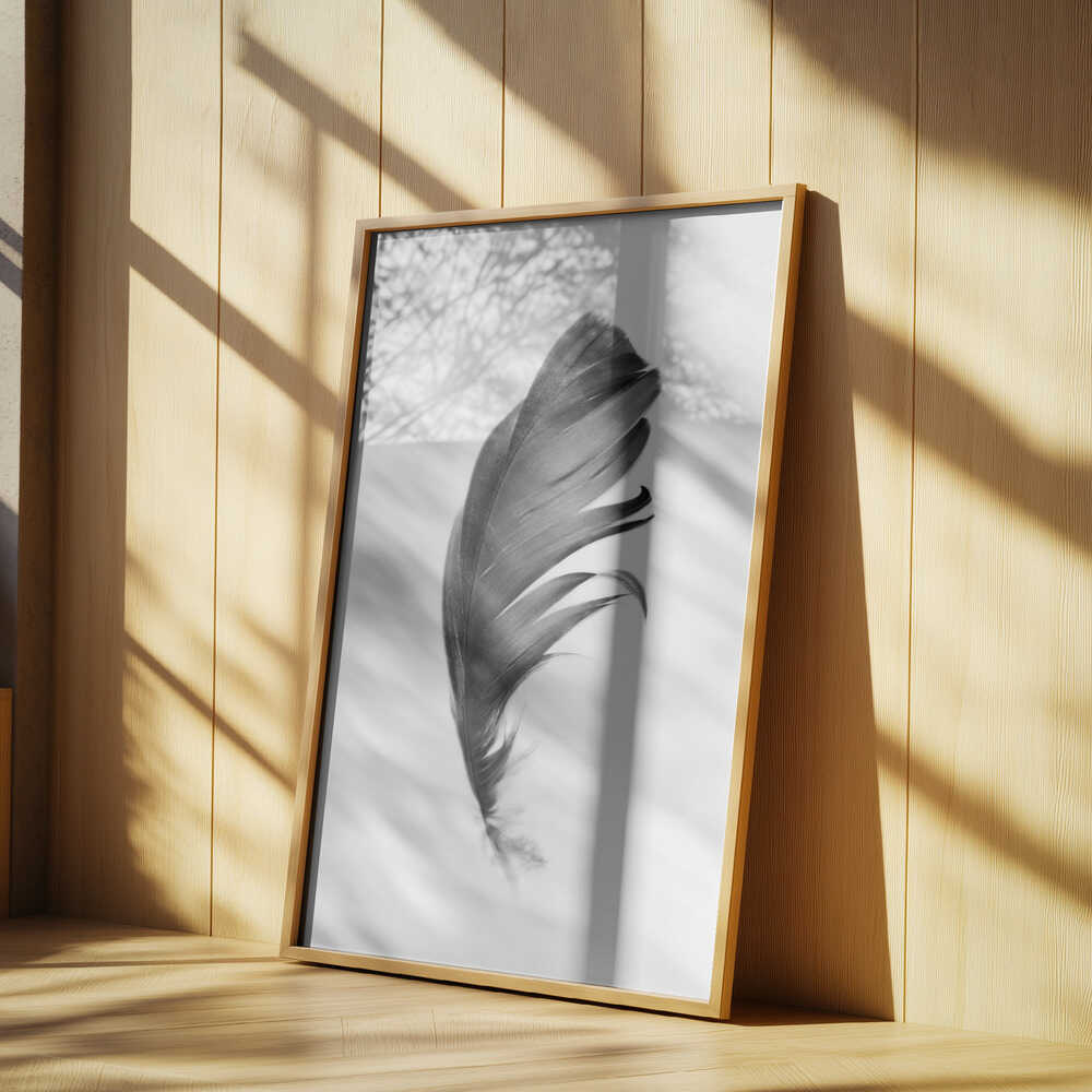 Feather Poster