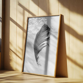 Feather Poster