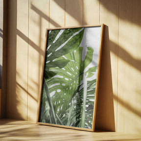Jungle Poster
