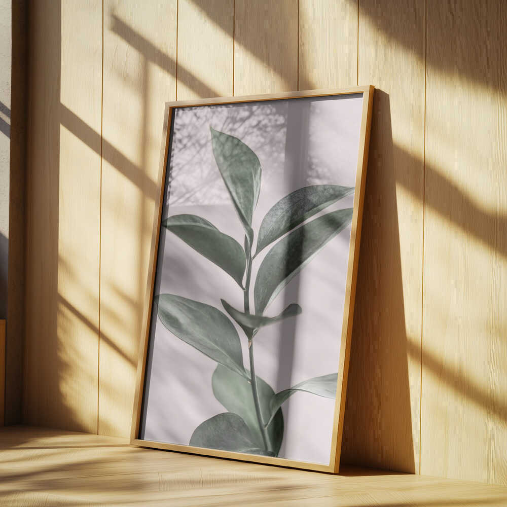 Foliage on Pink Poster