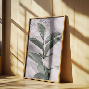 Foliage on Pink Poster