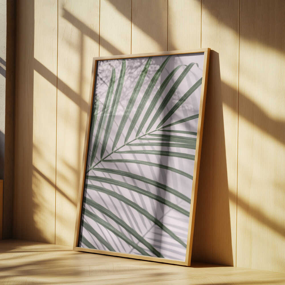 Palm Leaf Shadow Poster