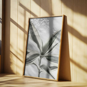 Foliage Poster