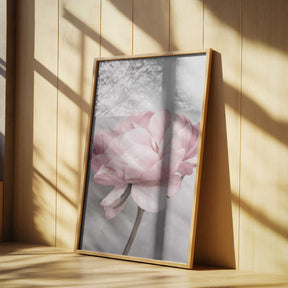 Peony Poster