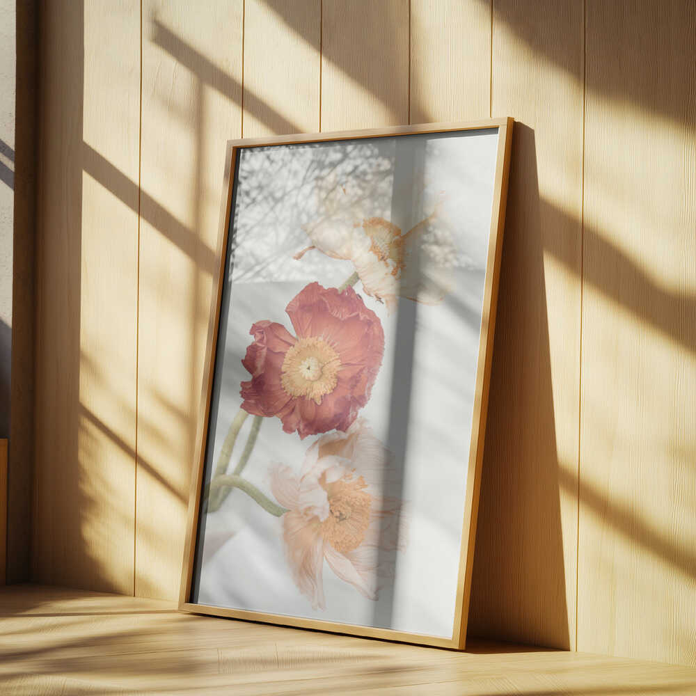 Poppies Poster