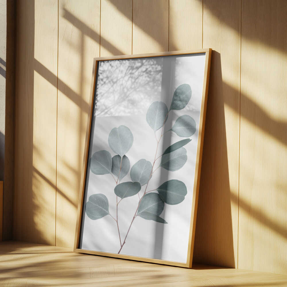 Silverdollar Poster
