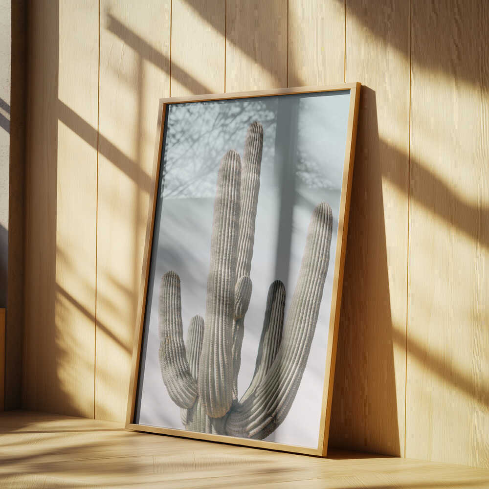 Saguaro Poster