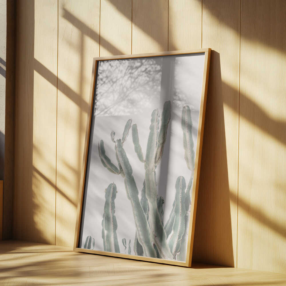 Sunrise Cactus Poster