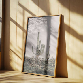 Pink Saguaro Poster
