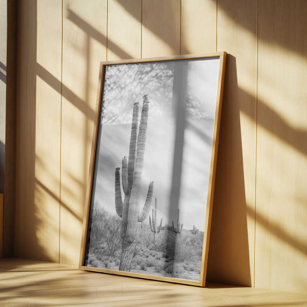 Saguaro B&amp;W Poster