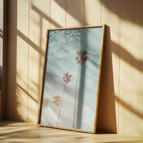 Sunny Cali Palm Tree Poster