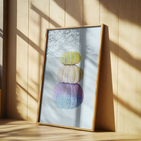 Sea Urchins Poster