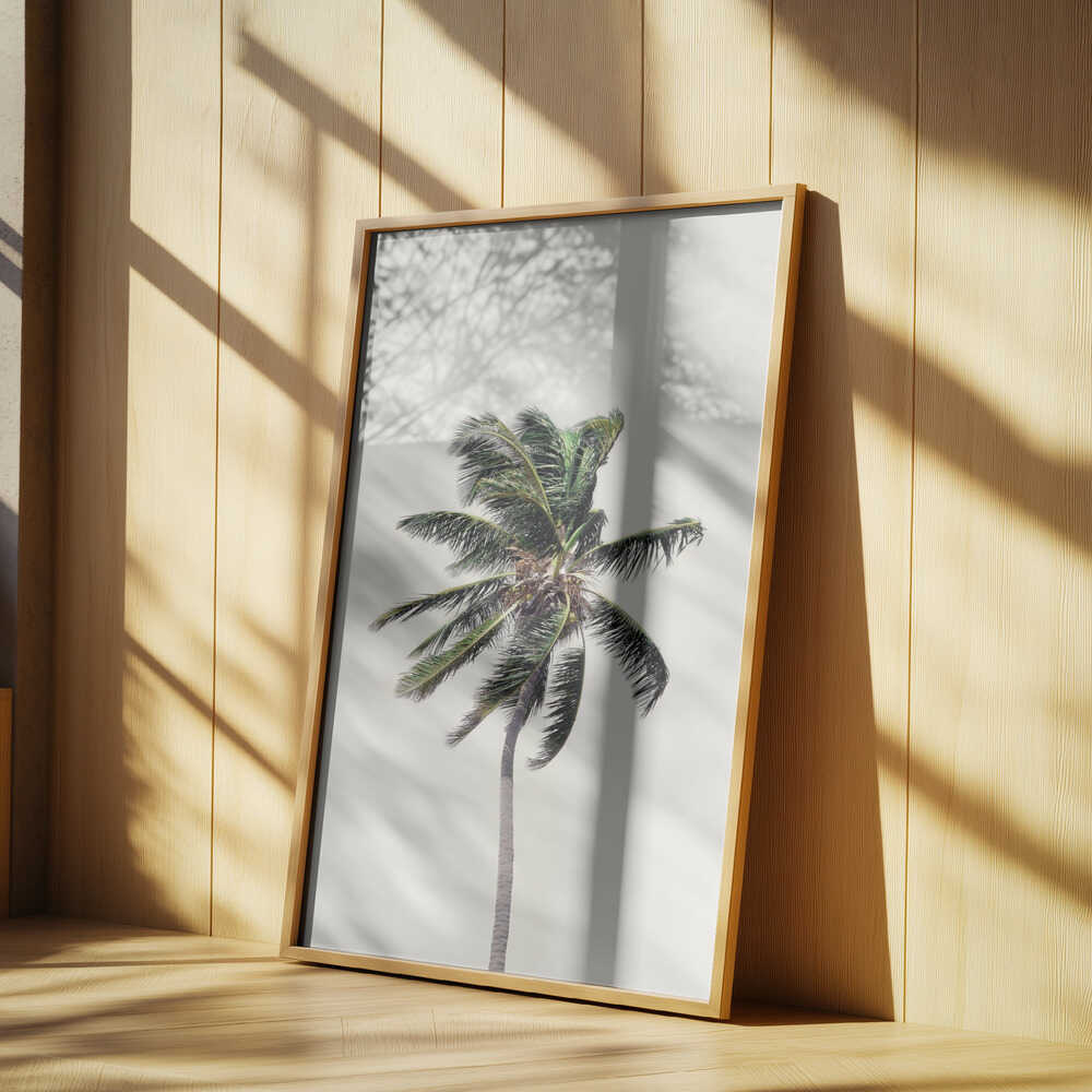 Windy Palm Tree Poster