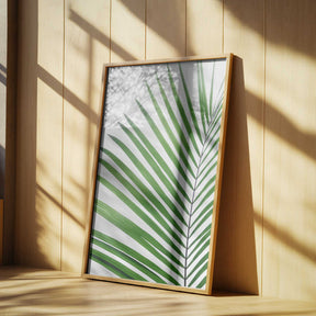 Green Palm Leaf Poster