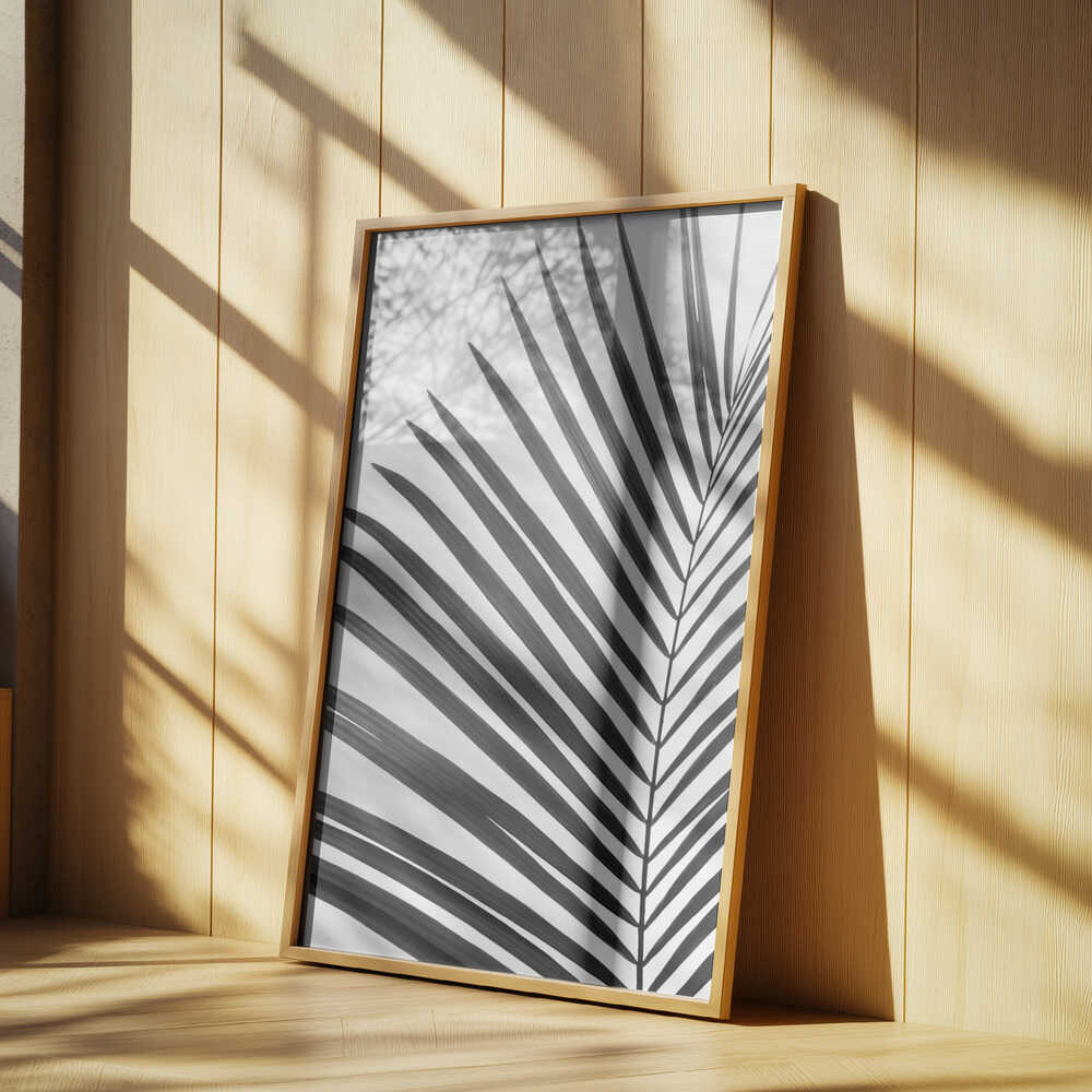 BW Palm Leaf Poster