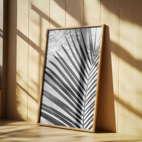 BW Palm Leaf Poster