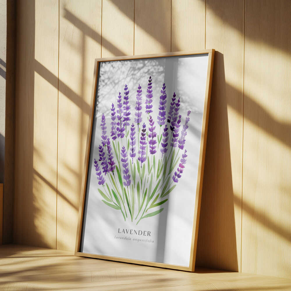 Lavender I Poster