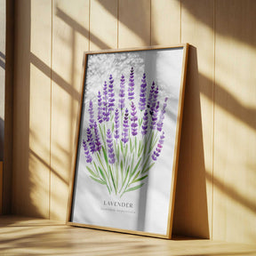 Lavender I Poster