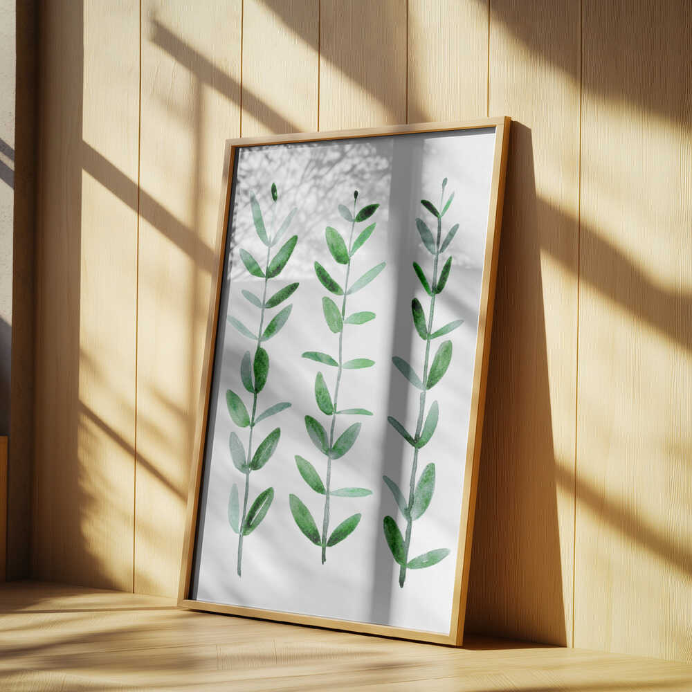 Watercolor eucalyptus parvifolia Poster