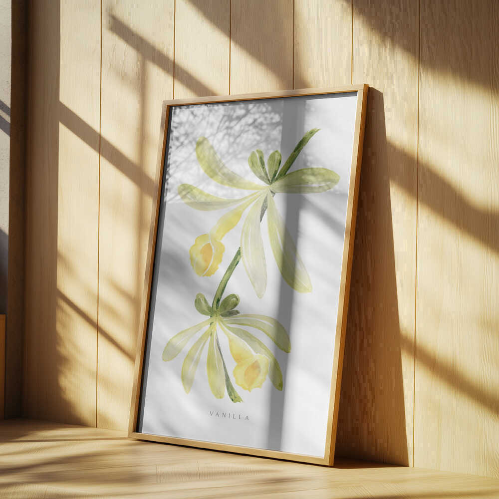 Watercolor vanilla orchid Poster