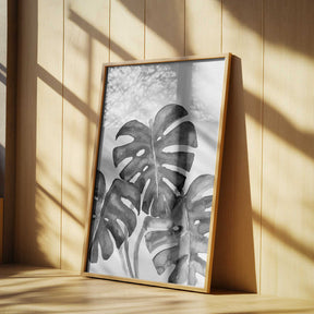 Monstera leaves in loose watercolor bw Poster