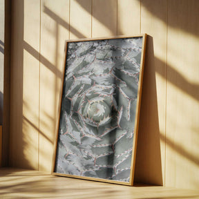 Spiral Succulent Maze Poster