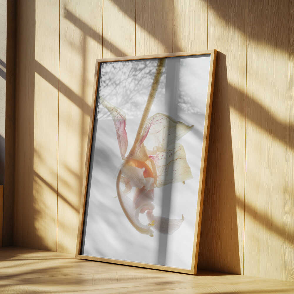 Petal Symphony Poster