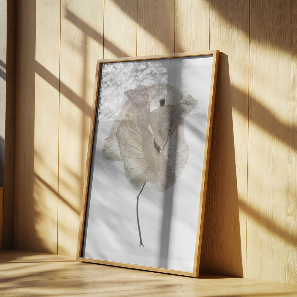 Petal Whisper Poster