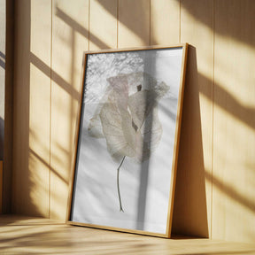 Petal Whisper Poster
