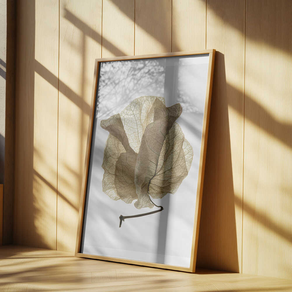 Whispering Petals Poster