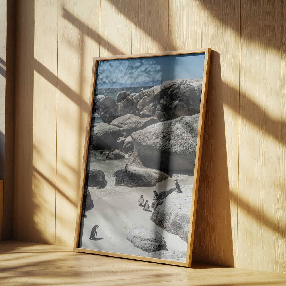 Penguin Cove Serenity Poster