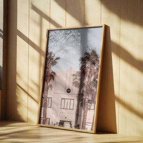 Palm Shadows Poster
