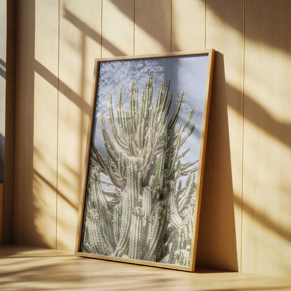 Cactus Symphony Poster