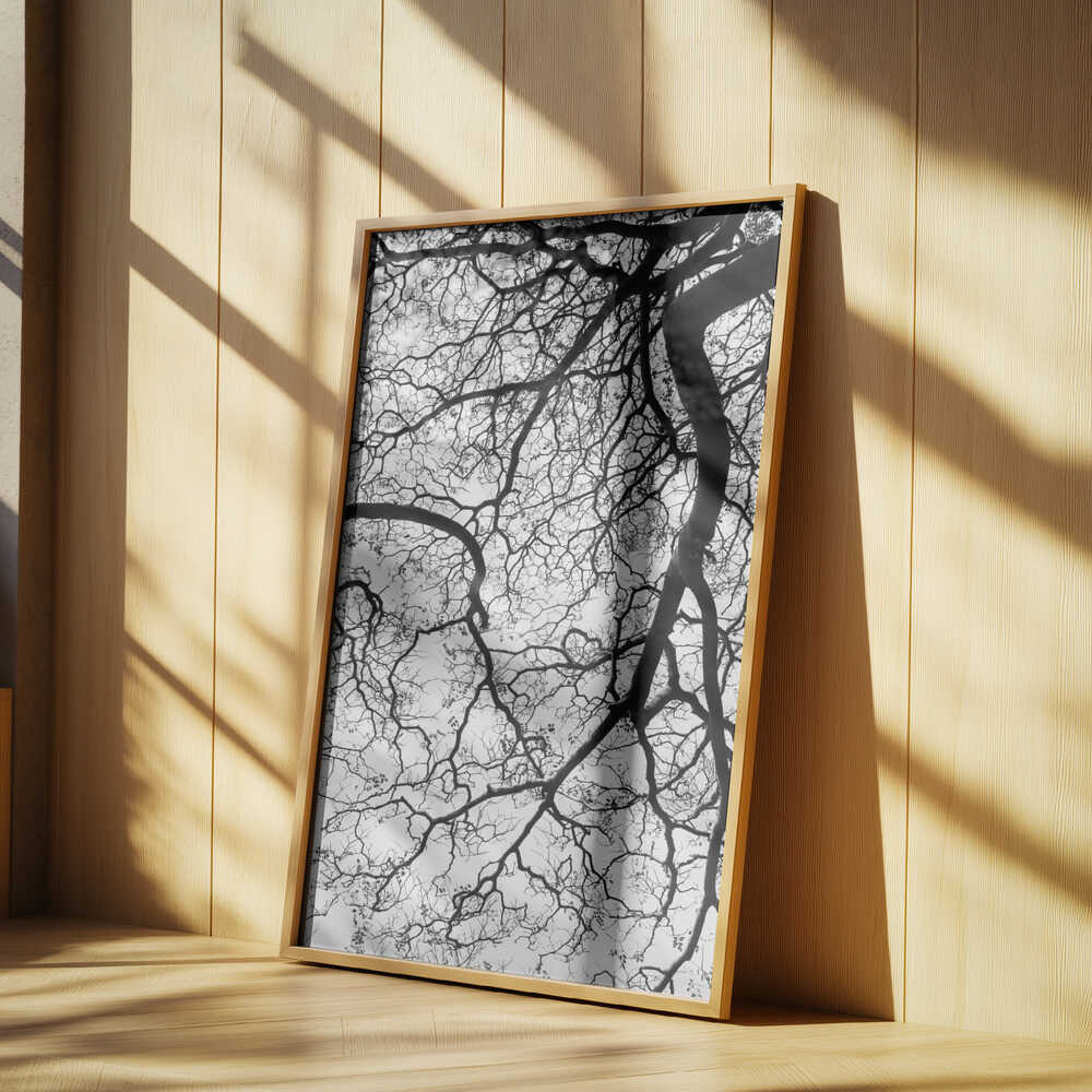 Branches' Dance Poster