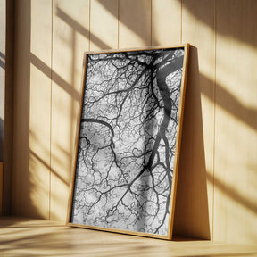 Branches' Dance Poster