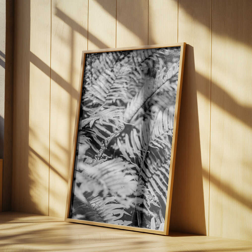 Whispering Ferns Poster