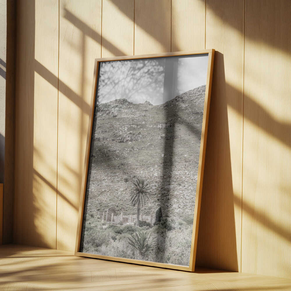 Lonely Ruins Poster