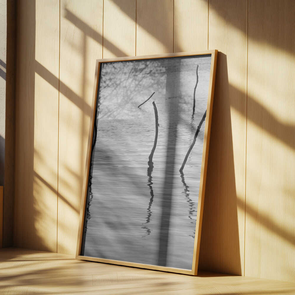 Silent Reflections Poster