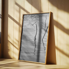 Silent Reflections Poster